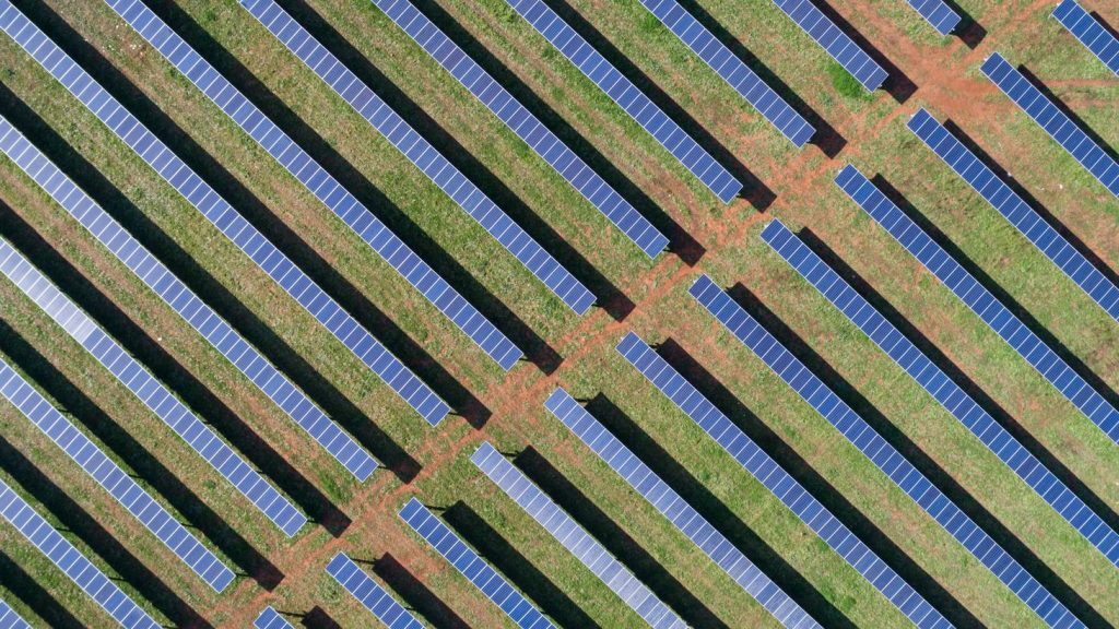 champs de panneaux solaires Neoen